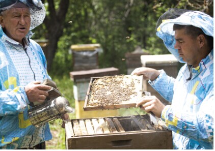 美食纵览|来进口食品展，品味哈萨克斯坦蜂蜜之纯美
