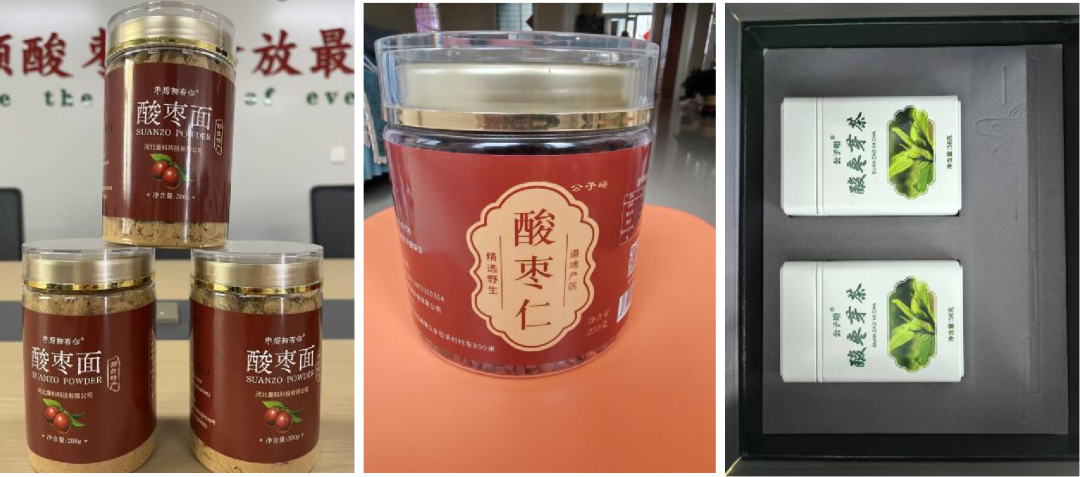邢襄珍品，沪上绽放！河北邢台展团亮相上海展，小小酸枣仁撬动睡眠健康新机遇！