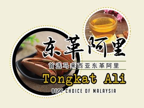 国际阵容！马来西亚展团即将重磅亮相2026上海乐活康养展