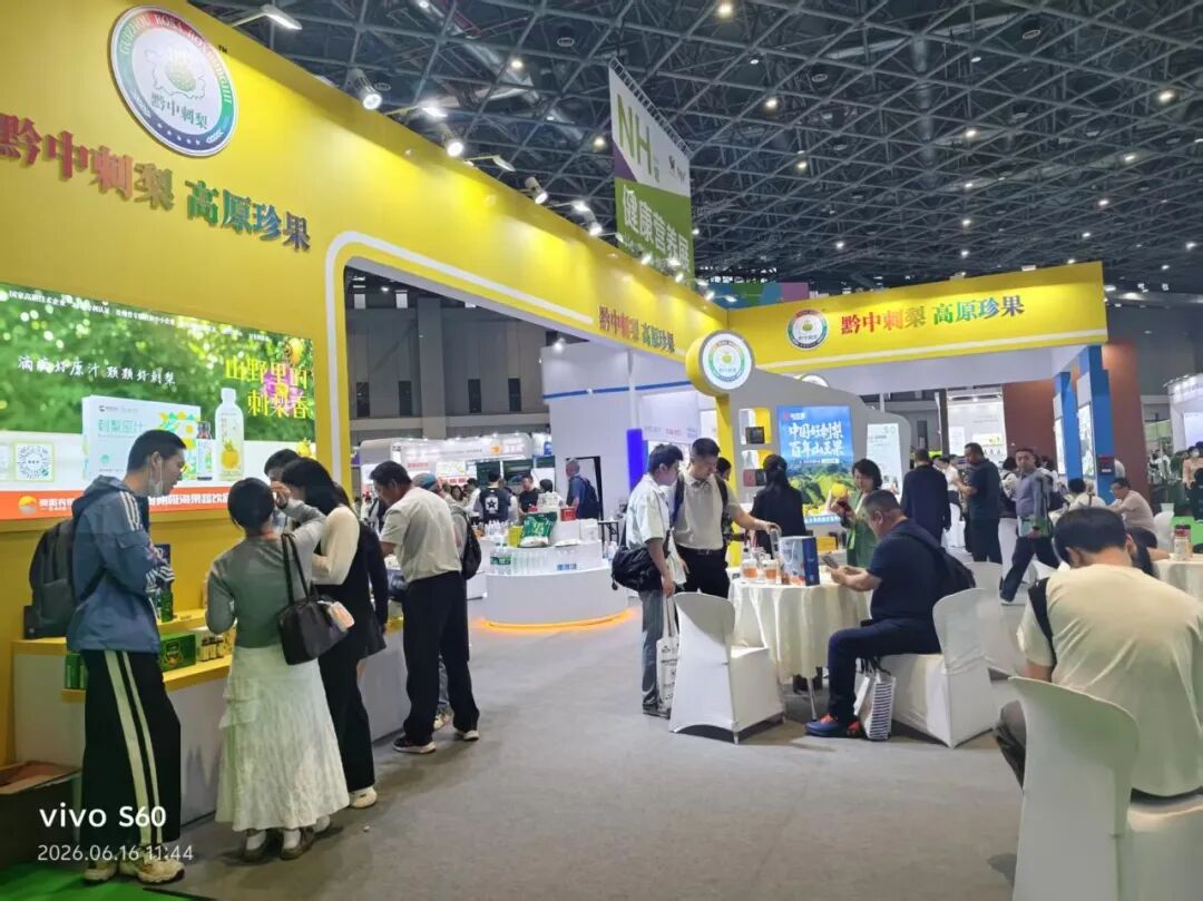 收官上海・聚力深圳!2026上海乐活康养展圆满落幕,10月深圳再相约! 收官上海・聚力深圳!2026上海乐活康养展圆满落幕,10月深圳再相约!