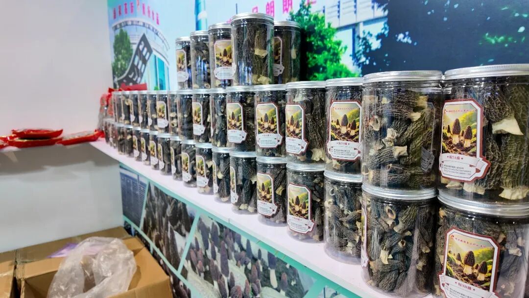 收官上海・聚力深圳!2026上海乐活康养展圆满落幕,10月深圳再相约! 收官上海・聚力深圳!2026上海乐活康养展圆满落幕,10月深圳再相约!
