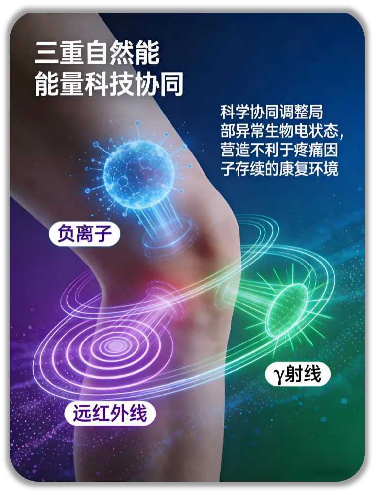 来自长白山的健康圣石“日整石牌金刚石散”即将亮相2026北京健博会